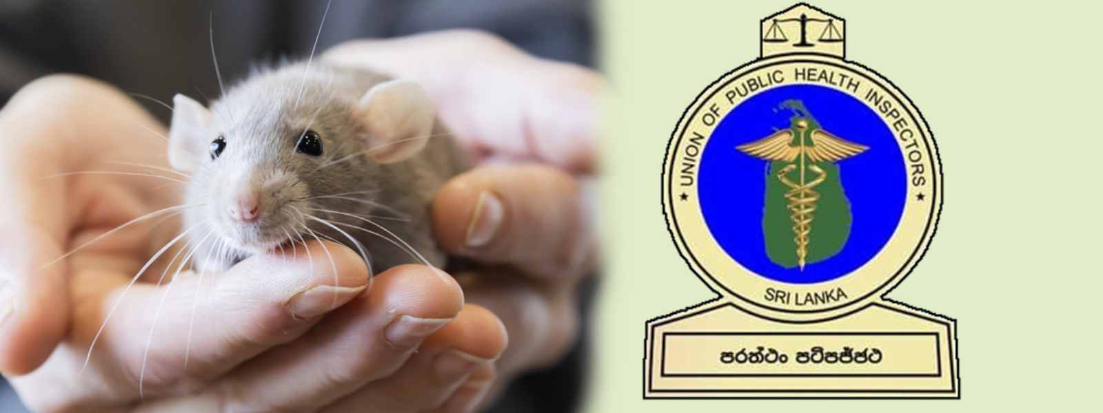 මී උණ ව්‍යාප්තවීමේ අවධානම ඉහළට